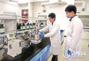 泉港新聞網