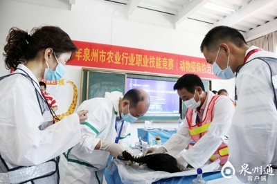 泉州市舉行2020年農業行業職業技能競賽