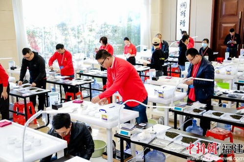 福建省評茶員職業技能競賽在泉州臺商投資區舉辦