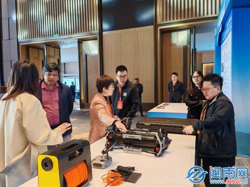 2025年福建省海洋生物產業高質量發展對接活動在石獅舉行，泉州人才戰略助推產業升級